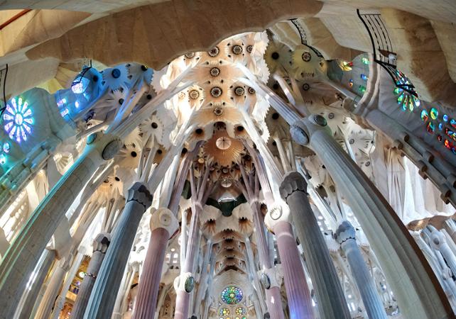 Visite guidée de la Sagrada Familia - Billet coupe-file et accès tour inclus - En français
