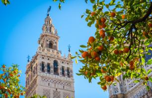 Guided Bus Tour of Seville & Visit the Alcázar, the Giralda and the Seville Cathedral – entry included