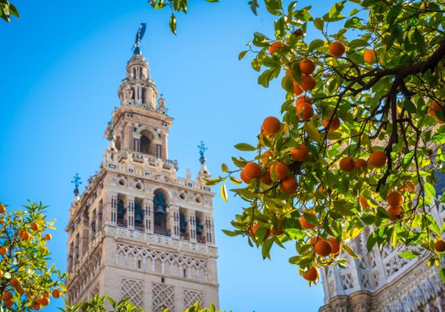 Les incontournables de Séville en une demi-journée : visite guidée de l'Alcazar, la Giralda et la Cathédrale + tour panoramique en minibus