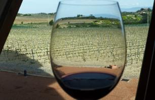Excursion à Vitoria et Rioja Alavesa avec visite d'une cave à vin depuis Bilbao - Dégustation de vin incluse