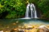 Excursion 100% Nature dans le Nord de Basse Terre: Parc national de la Guadeloupe, Réserve Cousteau, Deshaies  - Au départ de St François, Ste Anne et Gosier