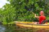 Balade en kayak dans la mangrove guadeloupéenne - Au départ de Vieux-Bourg
