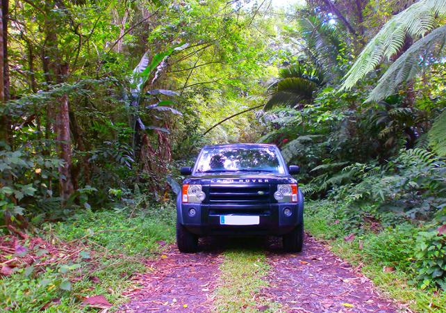 4x4 Excursion to See Northern Martinique - Depart from Trois-Îlets and its Surroundings