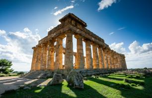 Private guided tour of the Selinunte archaeological site - Sicily