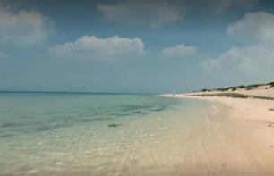 Excursion d'une journée à la plage d'Obhur - Au départ de Djeddah