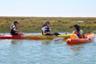 Balade en Kayak dans le parc naturel de Ria Formosa - En français - Faro