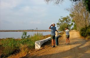 Visita guiada privativa a pé no Parque Natural da Ria Formosa - Faro