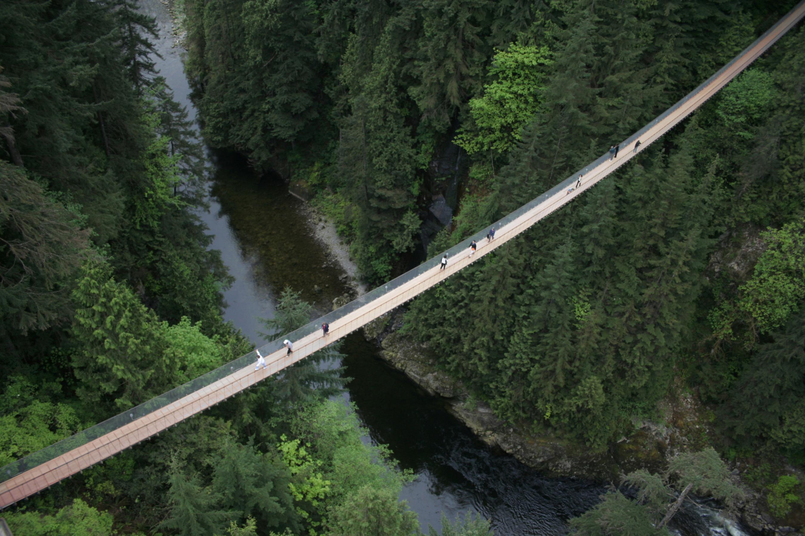 Ausflug zum Vancouver North Shore: Lachszuchtfarm, Capilano Suspension Bridge und Grouse Mountain