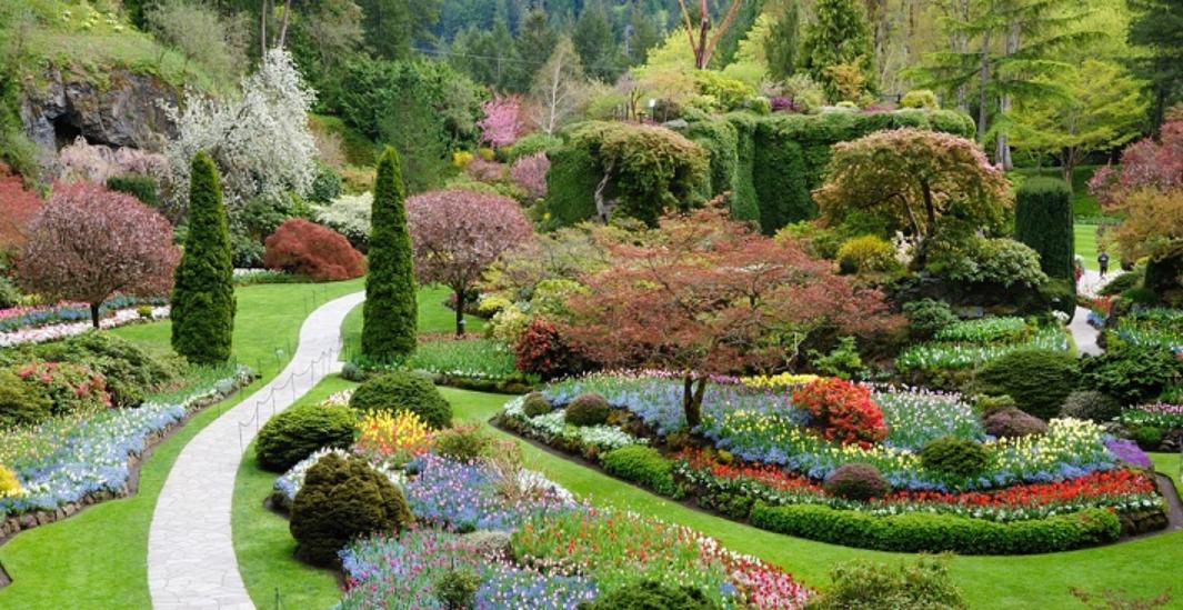 Day Trip to Victoria with Visit to the Butchart Gardens