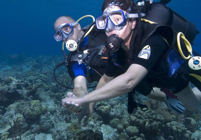 plongée réserve cousteau
