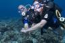 Diving Baptism in the Heart of the Cousteau Marine Park – Departing from Basse-Terre, Guadeloupe