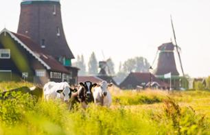 Excursion to the typical Dutch villages of Zaanse Schans, Volendam and Marken - Departing from Amsterdam