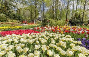 Billet coupe-file Parc de tulipes de Keukenhof - Transport depuis Amsterdam inclus