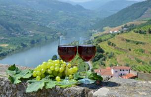Day trip: Wine tasting and cruise in the Douro Valley - in French - Departure from Porto