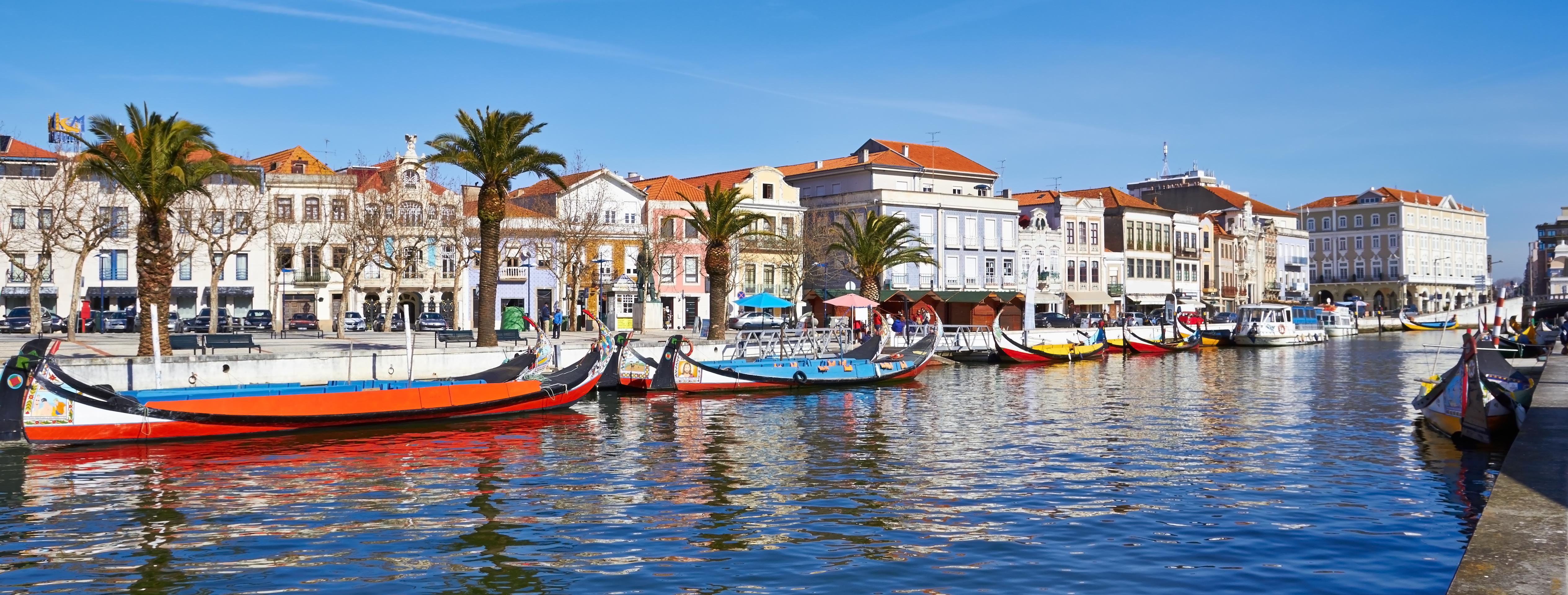 Excursion d'une demi-journée à Aveiro & visite en bateau – en français - Au départ de Porto