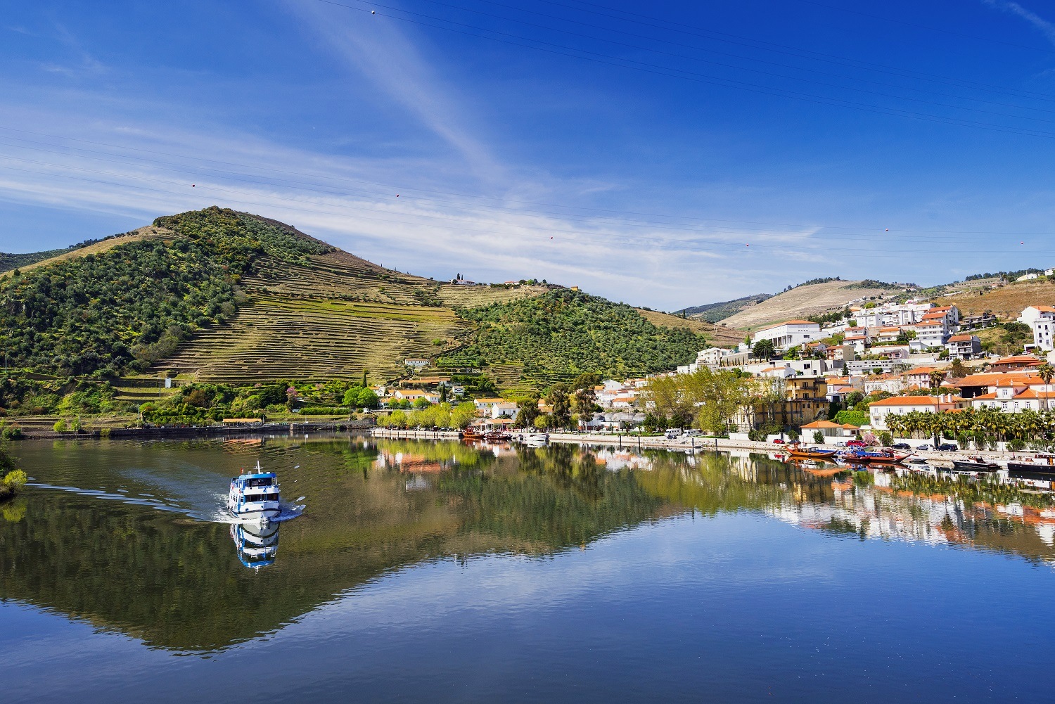 douro river trips from pinhao