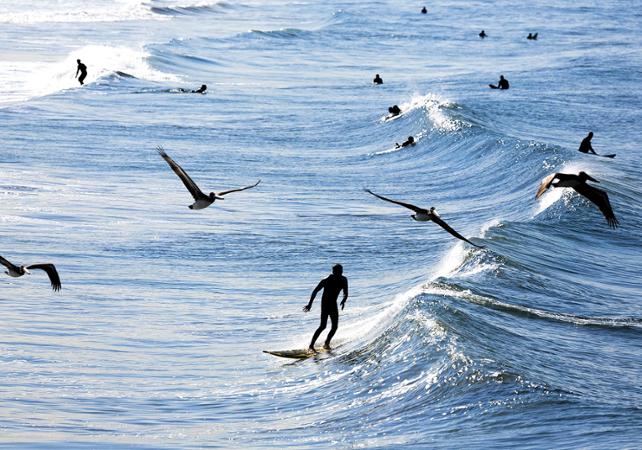 Cours privé de surf à Venice Beach (Los Angeles) - En français