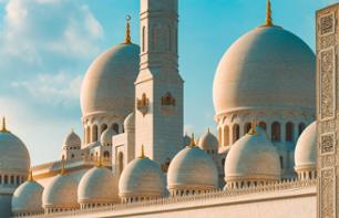 Visite guidée d'une demi-journée d'Abu Dhabi - Transferts inclus - En français