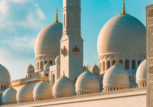 Visite guidée d'une demi-journée d'Abu Dhabi - Transferts inclus - En français