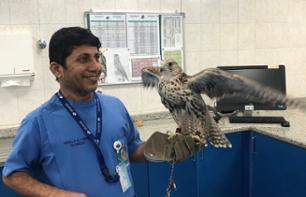 Visite de l'Hôpital des Faucons - Abu Dhabi