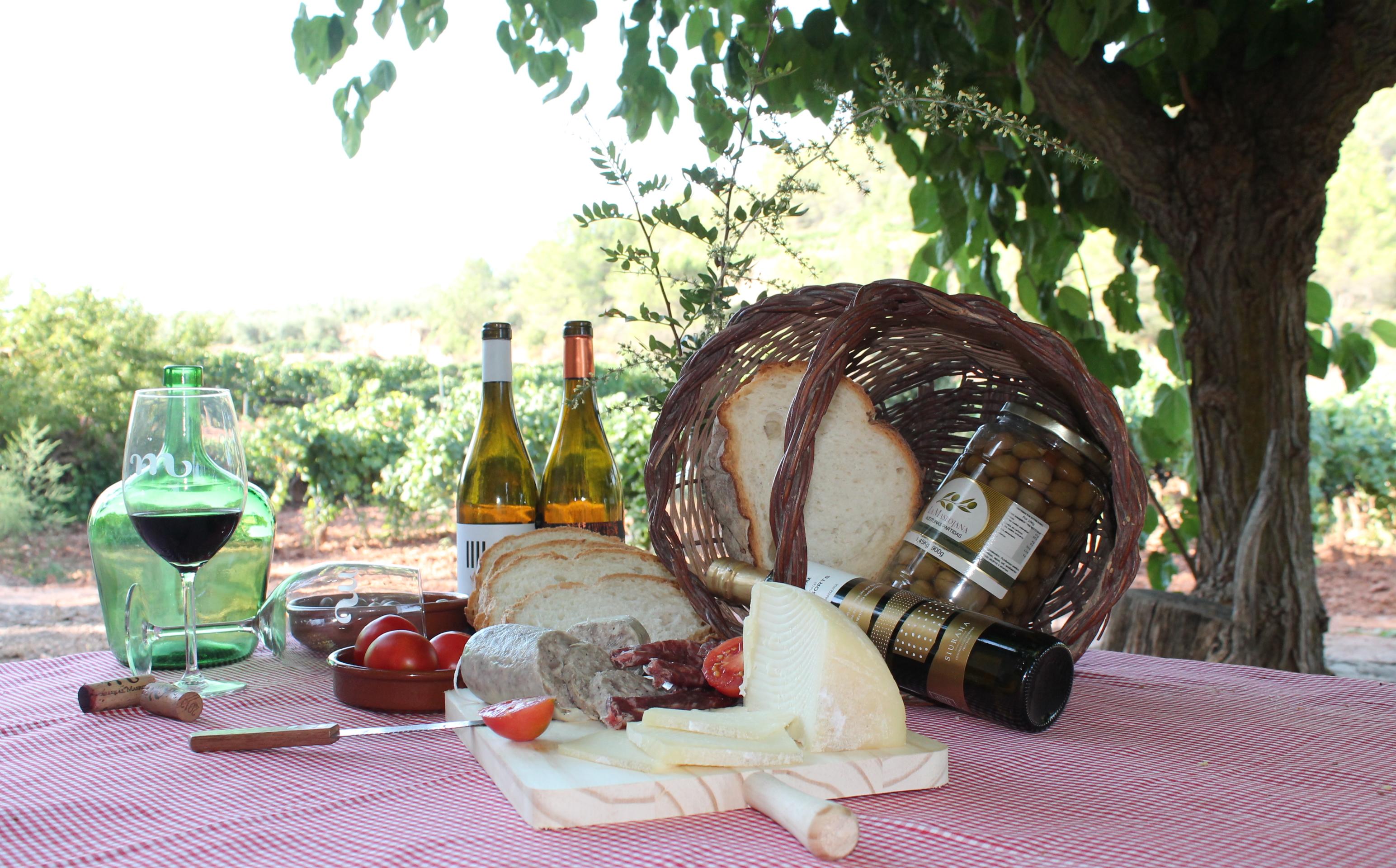 Brunch in a Vineyard - 45 minutes from Tarragona and 2 Hours from Barcelona