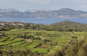 Route des vins à Peljesac – au départ de Dubrovnik