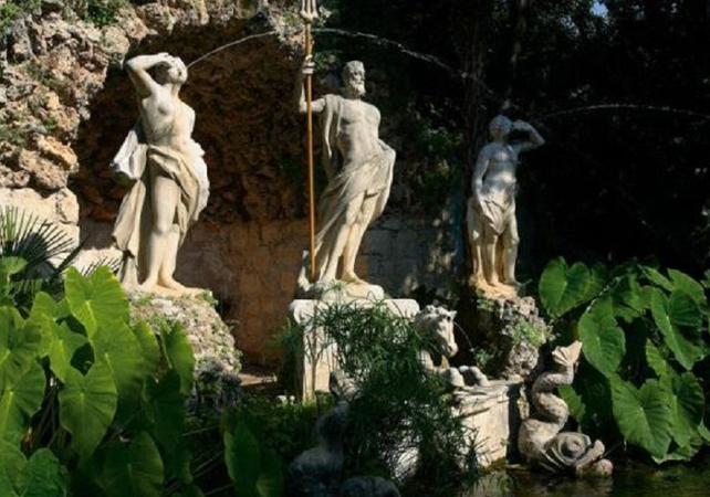 Excursion guidée à Trsteno et Ston – Au départ de Dubrovnik