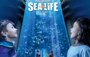 Billet coupe-file pour l'Aquarium Sea Life de Berlin et l'Aquadom