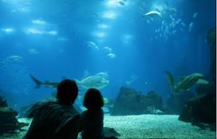 Aquarium Sea Life Munich