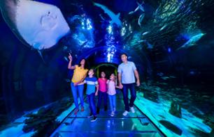 Visita do aquário "Sealife" em Orlando - Ingresso corta-fila