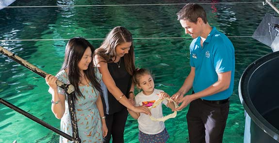 sydney aquarium behind the scenes tour