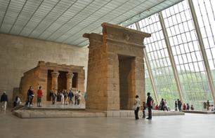 Visita del Metropolitan Museum of Art (MET) – Salta-fila