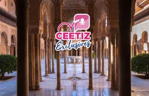 Visite guidée privée en français de l'Alhambra à Grenade - transport en train inclus depuis Séville