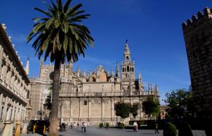 Private guided tour of Seville