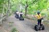 Nature Segway Ride in Etang Salé Forest