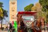 Evening Horse-drawn Carriage Trip around Marrakech