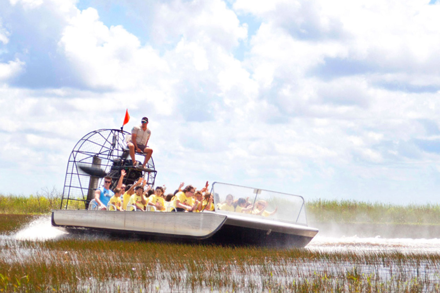 Everglades airboat tour, Everglades alligators - Miami - Ceetiz