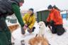 4 Days/3 Nights in the Heart of the Yukon: Accommodation + dog sledding, snowmobile, snowshoes and ice fishing – Departing from Whitehorse