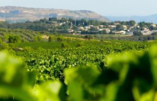 Languedoc vineyards