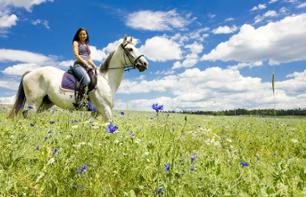 Randonnée à cheval dans la campagne toscane - au départ de Sienne