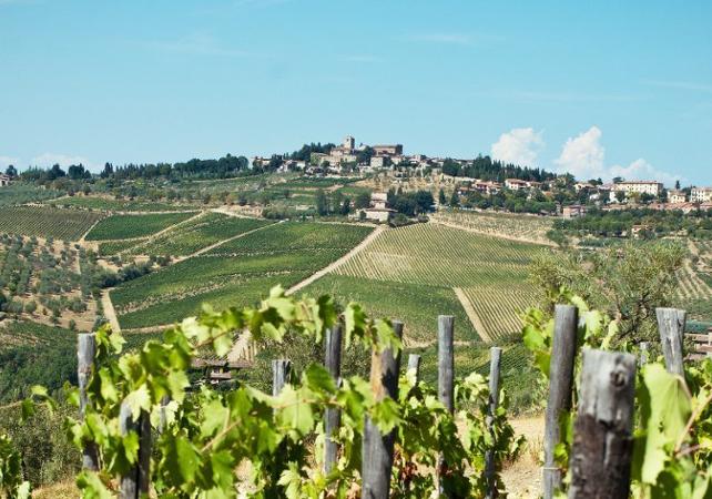 A trip in the Chianti region with wine tasting and a BBQ for lunch - Leaving from Florence