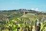 Excursion dans la région du Chianti avec dégustations de vin et déjeuner barbecue – Au départ de Florence
