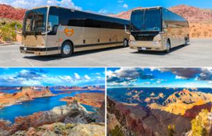 Navette en bus: Grand Canyon South Rim - Page