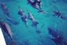 Croisière en catamaran avec observation de dauphins, plongée avec masque et tuba et déjeuner - Waianae, Oahu