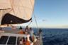 Catamran cruise at sunset with aperitifs - Waianae or Honolulu, Oahu