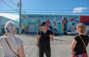 Visite guidée de Little Haïti à Miami - En français