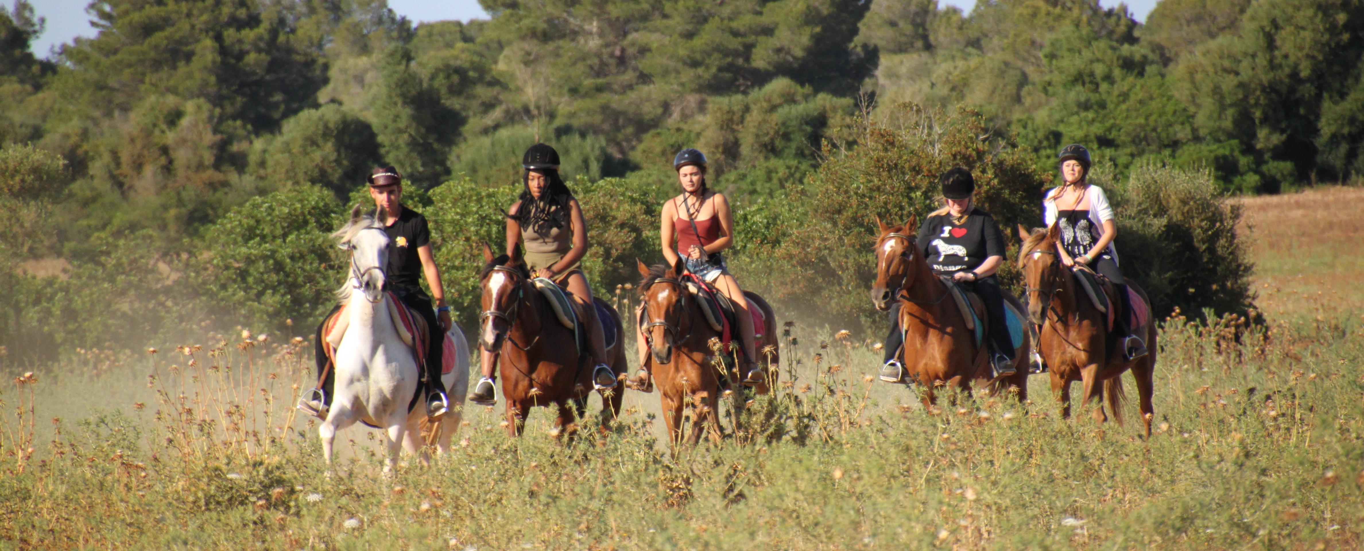 Horse Riding in Mallorca & BBQ Dinner – Hotel pick-up/drop-off