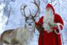 Visite du village du Père Noël avec déjeuner inclus - Au départ de Rovaniemi