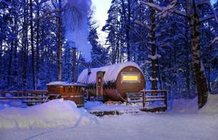Sauna traditionnel finlandais & Observation d'aurores boréales - Au départ de Rovaniemi