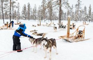 2en1 : Visite d’une ferme de huskies et balade en chien de traîneau - Au départ de Rovaniemi